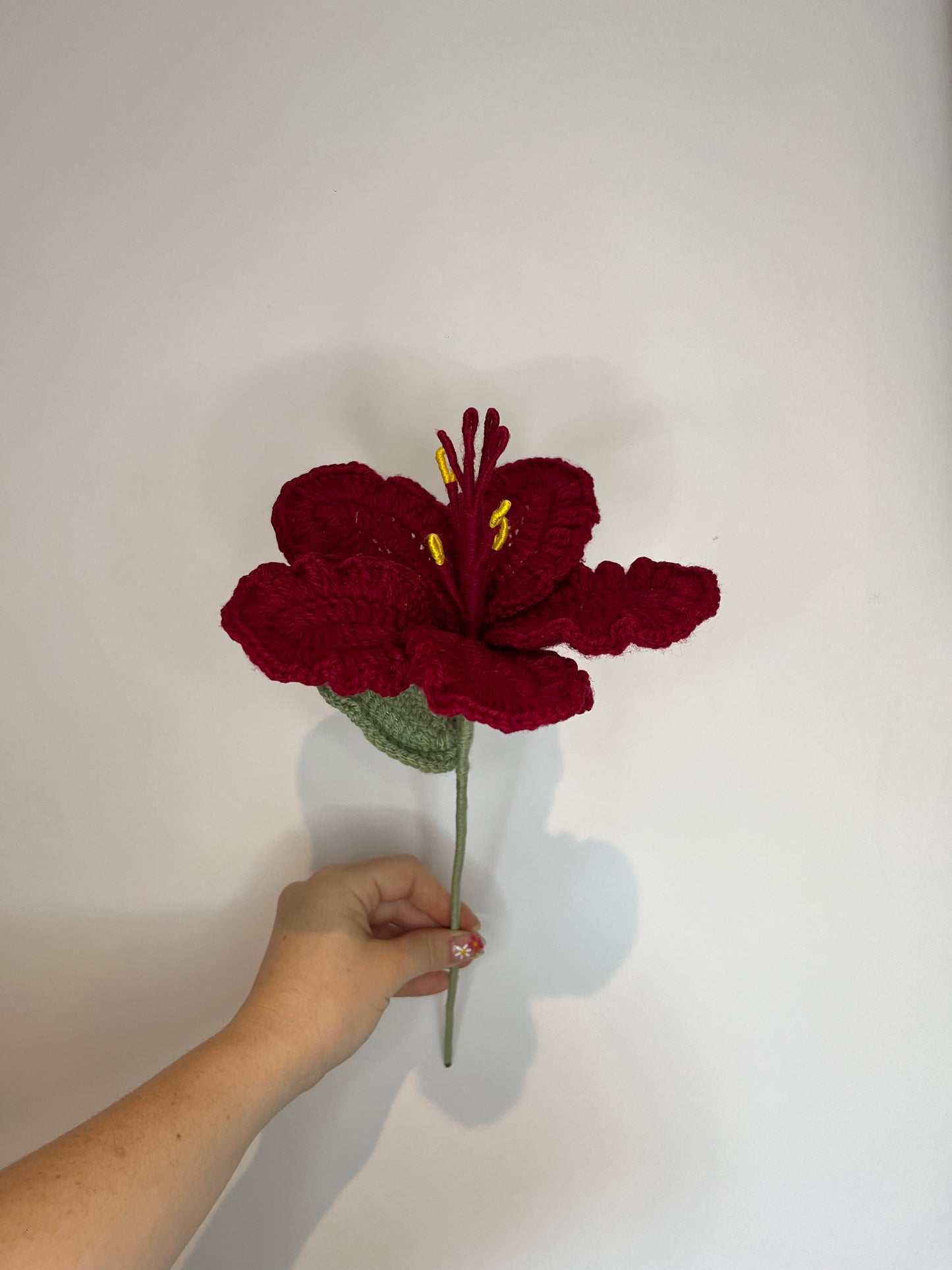Hibiscus