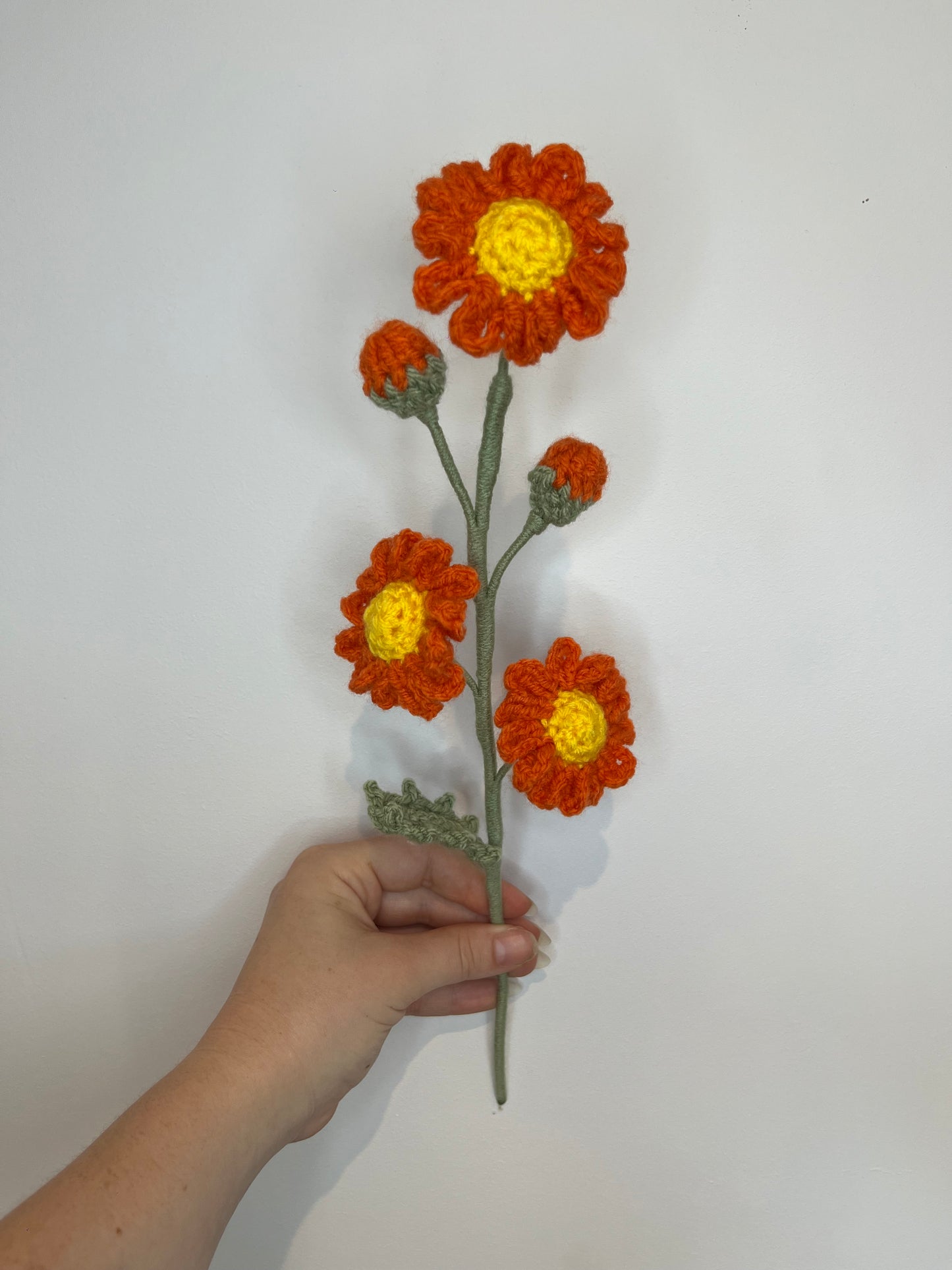 Marguerites personnalisable