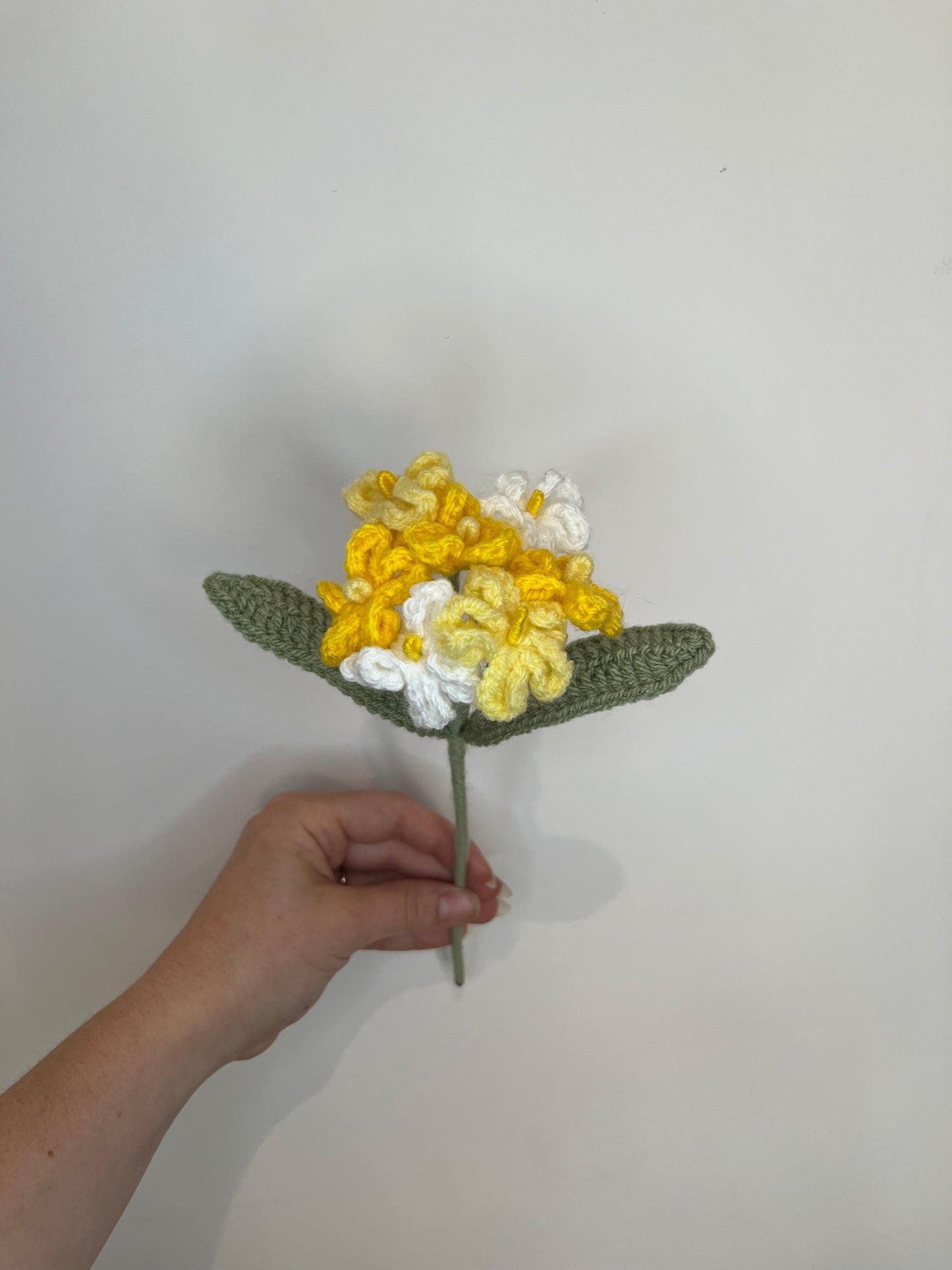 Myosotis personnalisable