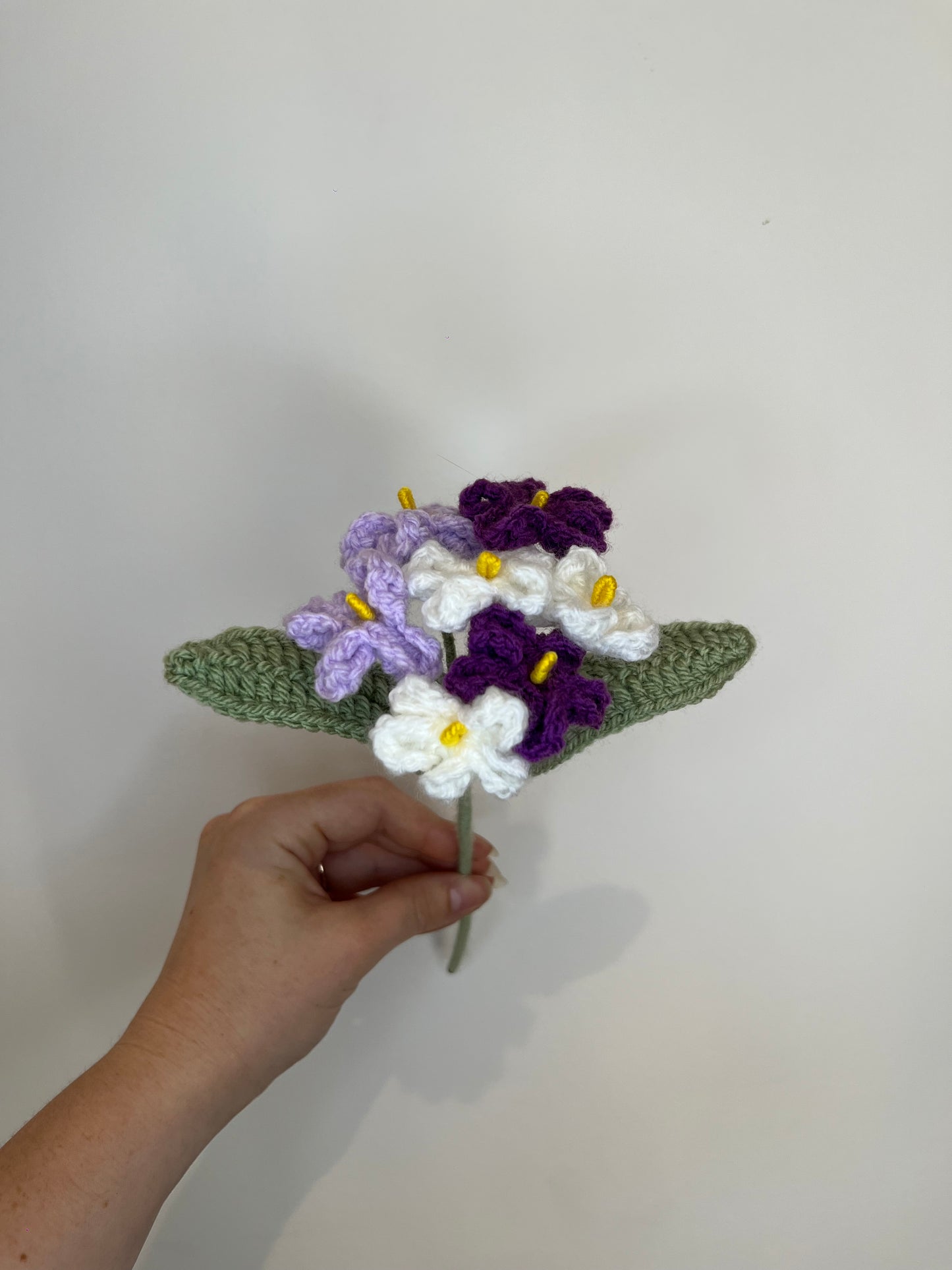 Myosotis personnalisable