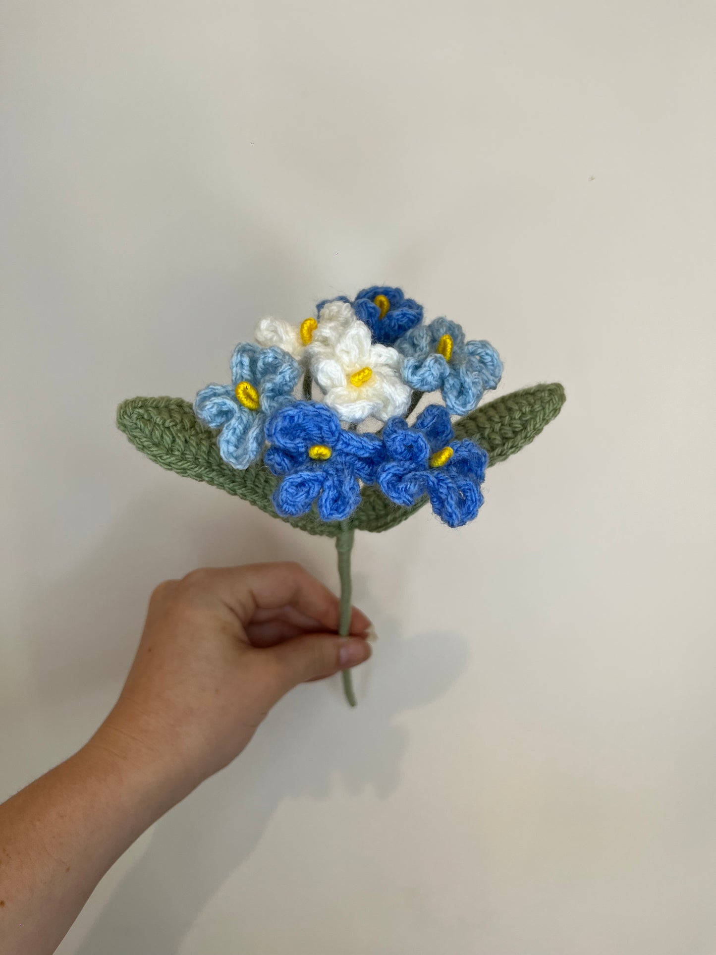 Myosotis personnalisable