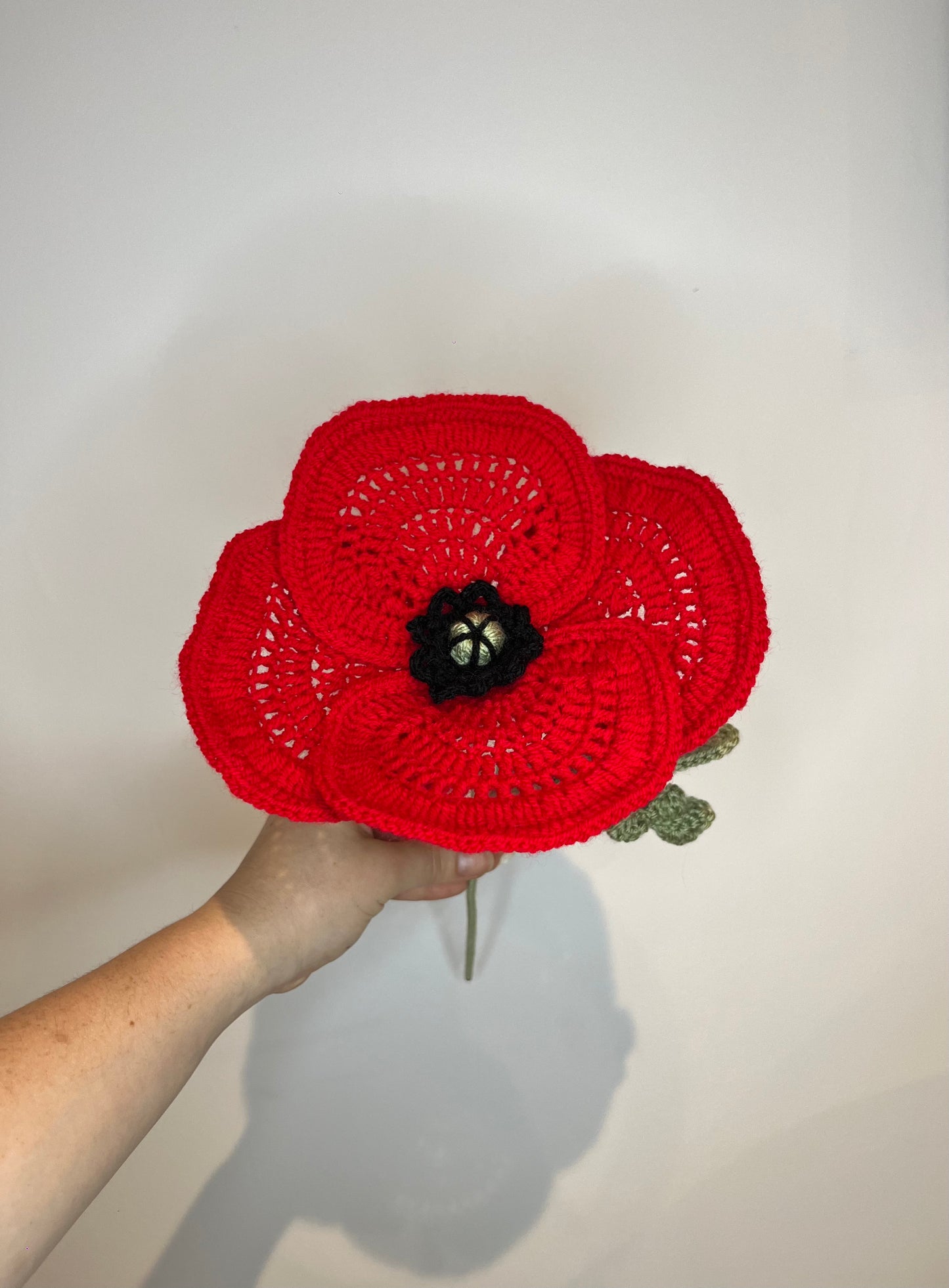 Coquelicot rouge