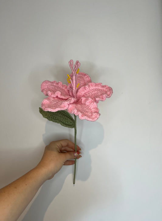 Hibiscus