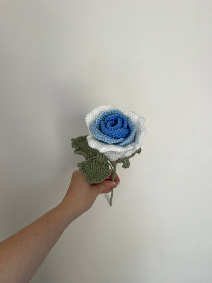 Rose éternelle dégradée personnalisable