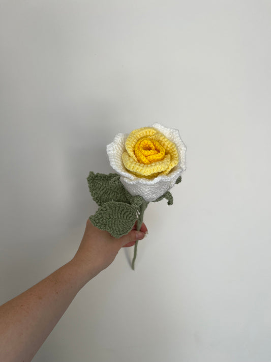 Rose éternelle dégradée personnalisable