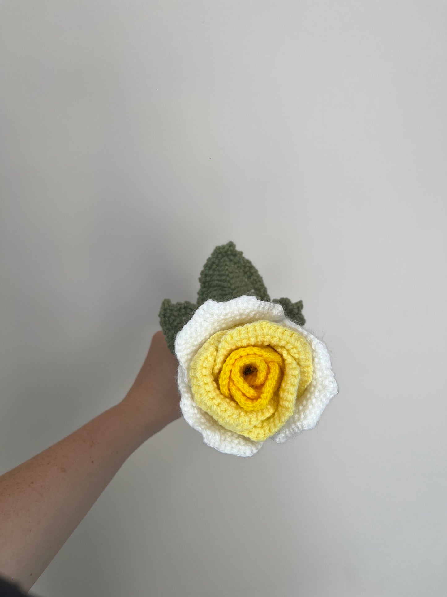 Rose éternelle dégradée personnalisable