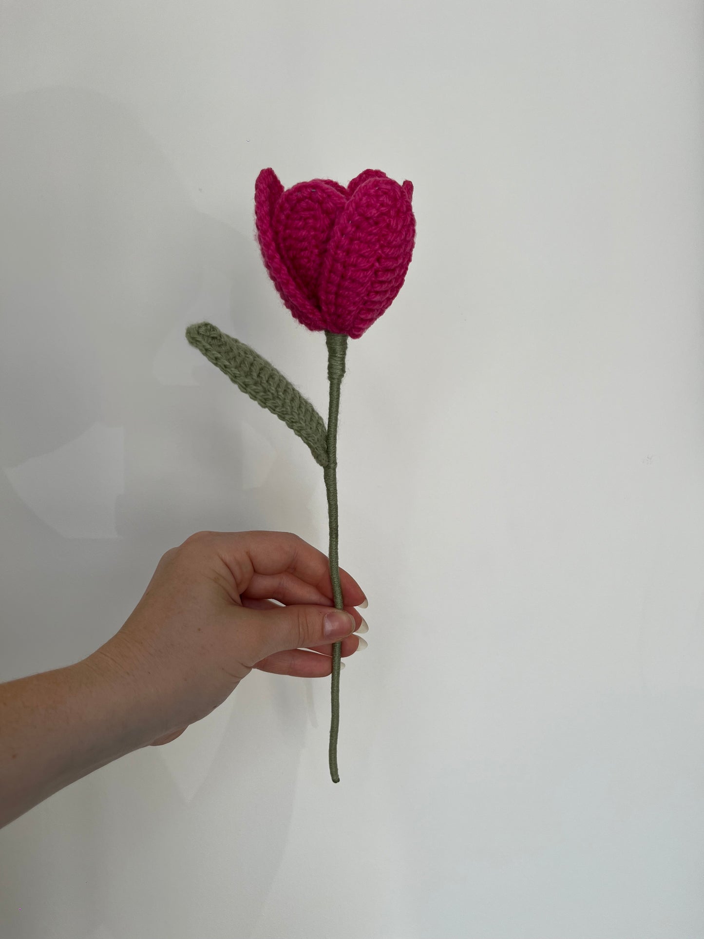 Tulipe complexe personnalisable