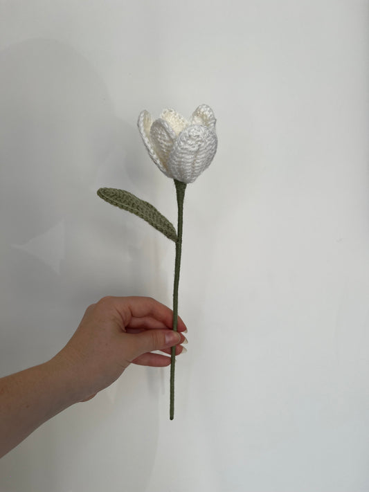 Tulipe complexe personnalisable