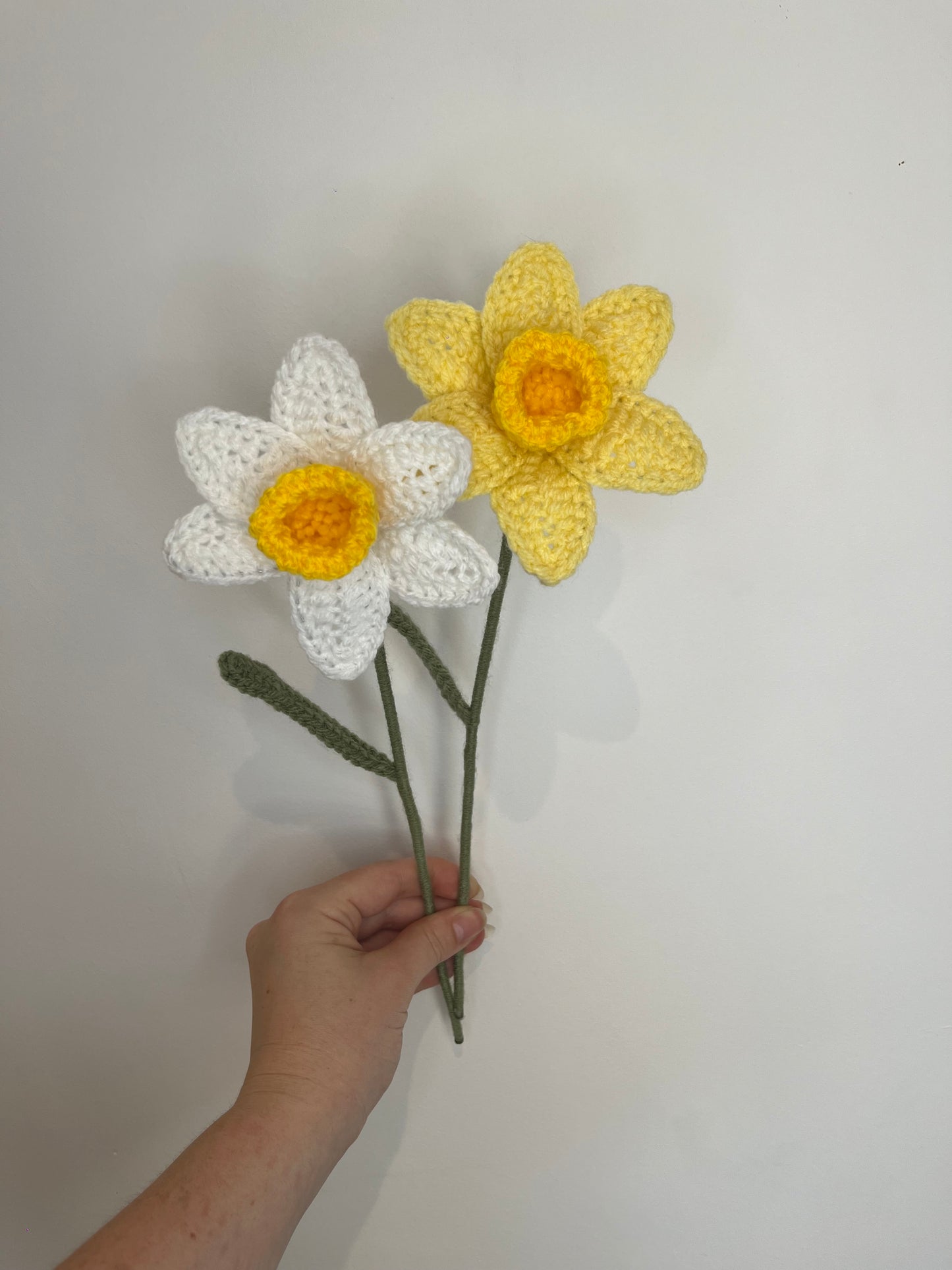 Duo jonquille blanche et jaune