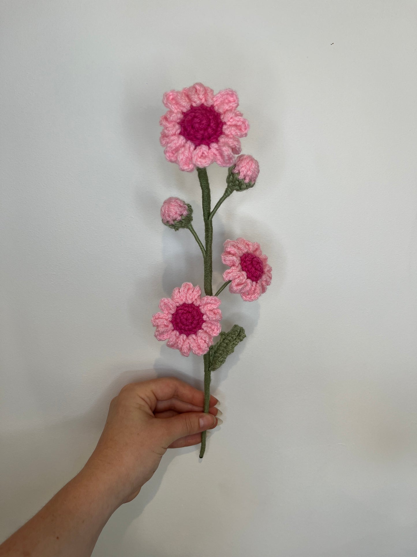 Marguerites personnalisable