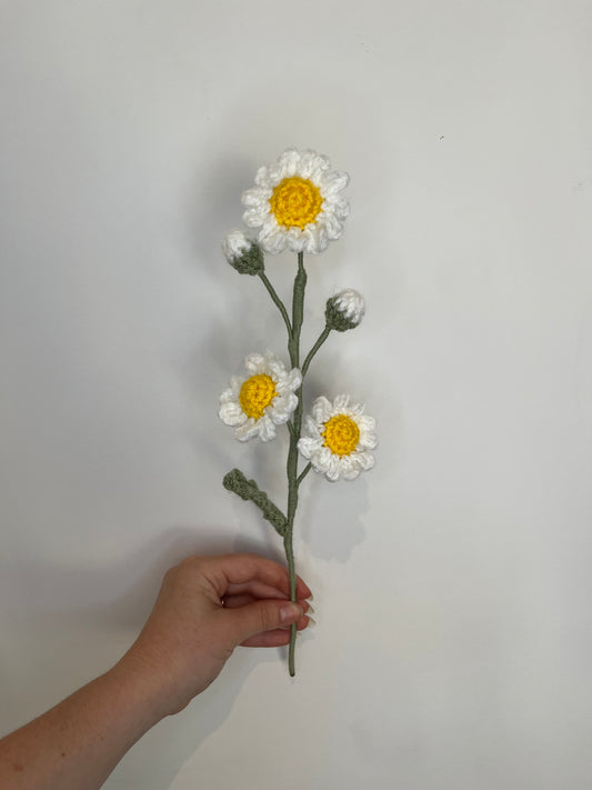 Marguerites personnalisable
