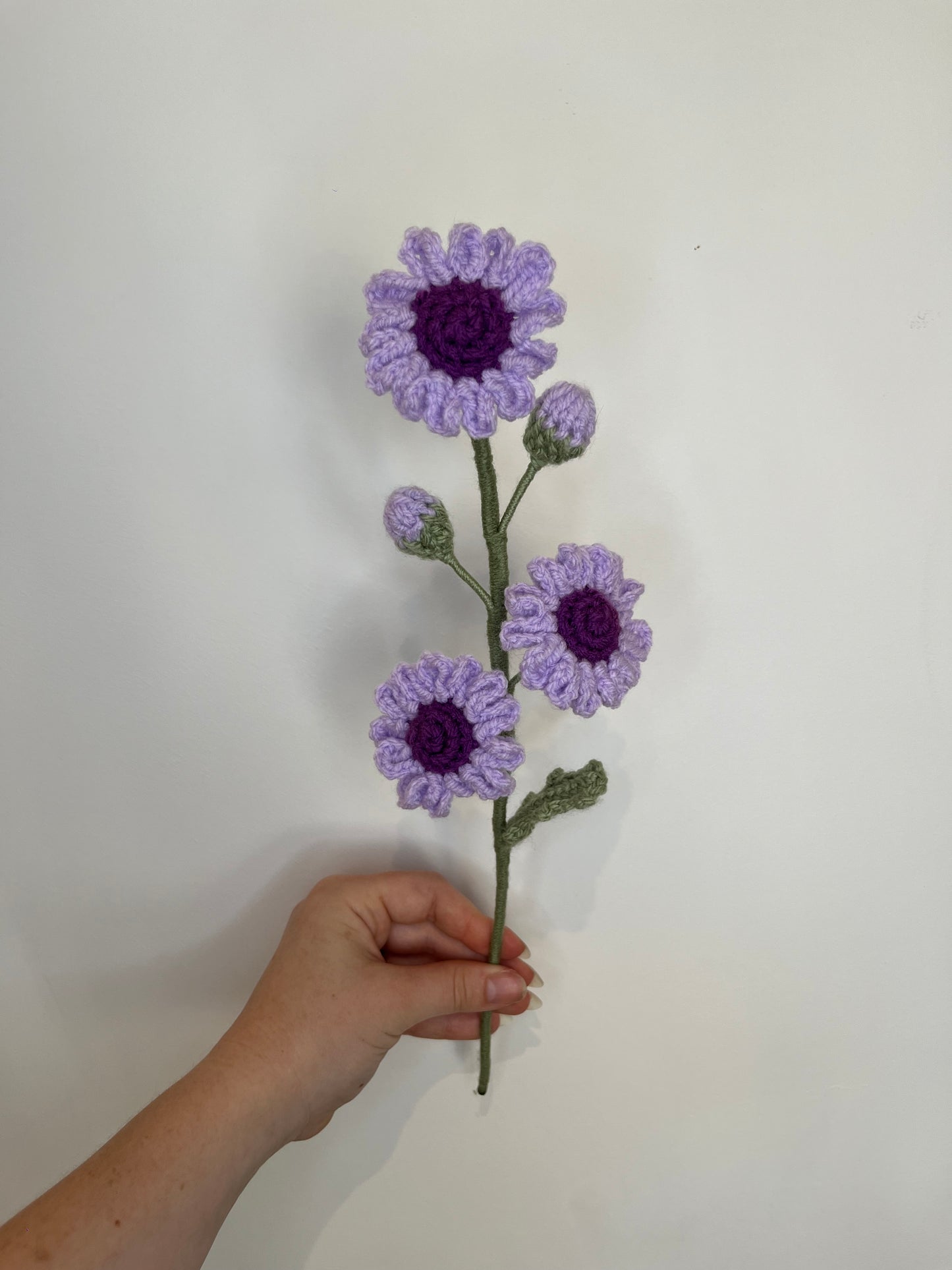 Marguerites personnalisable