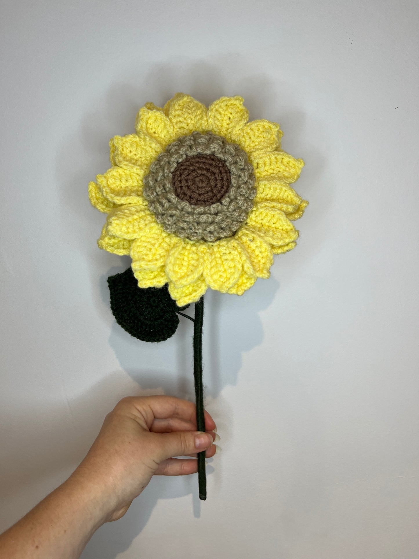 Tournesol personnalisable