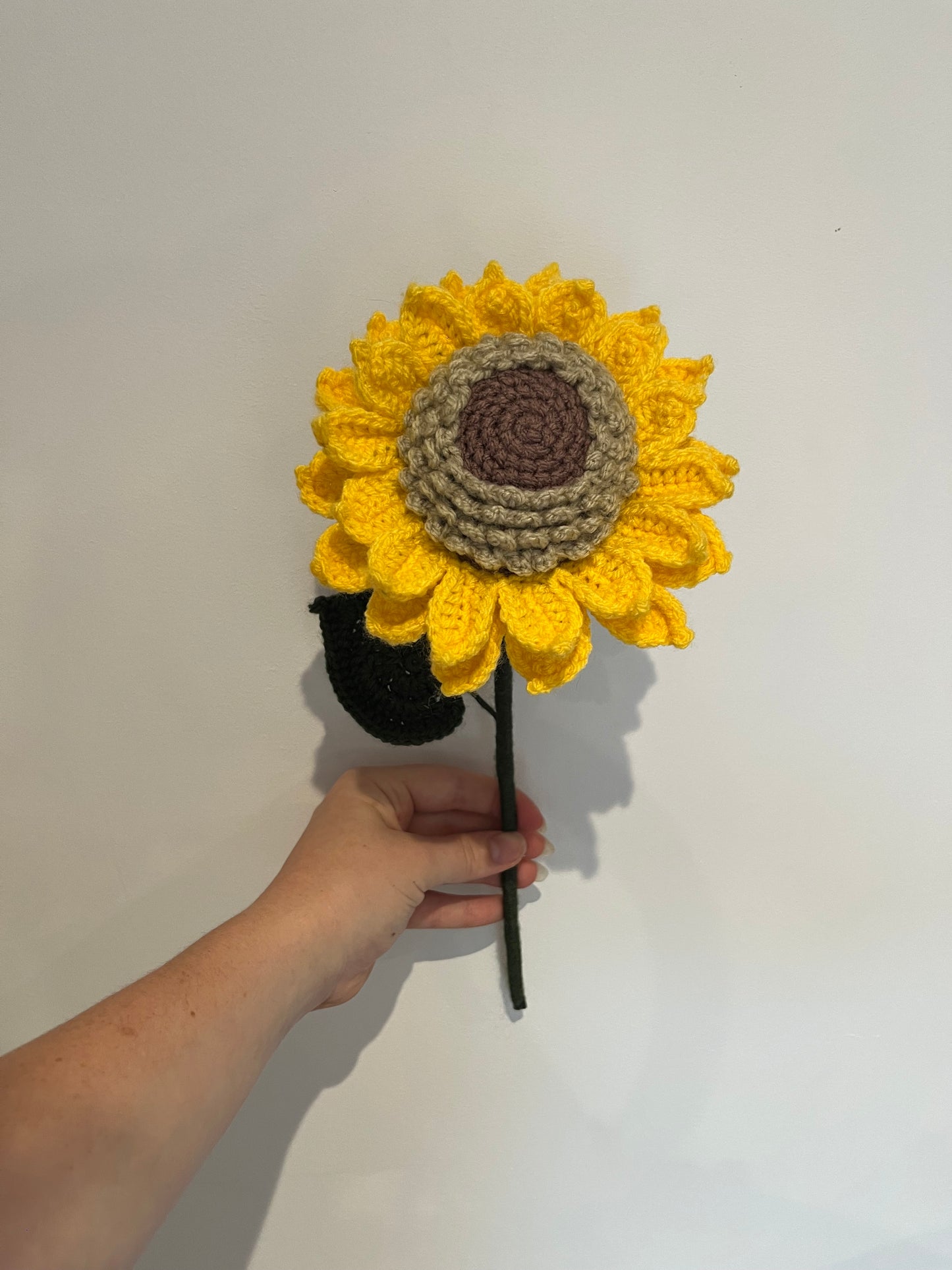 Tournesol personnalisable