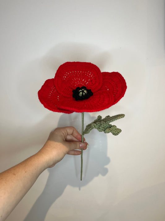 Coquelicot rouge