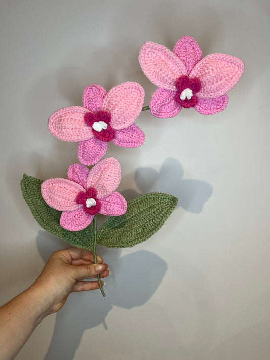 Orchidée trio rose