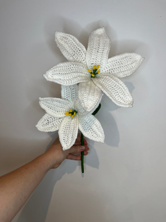 Lys duo blanc