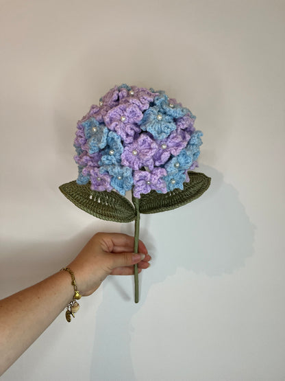 Hortensias bicolore violet et bleu