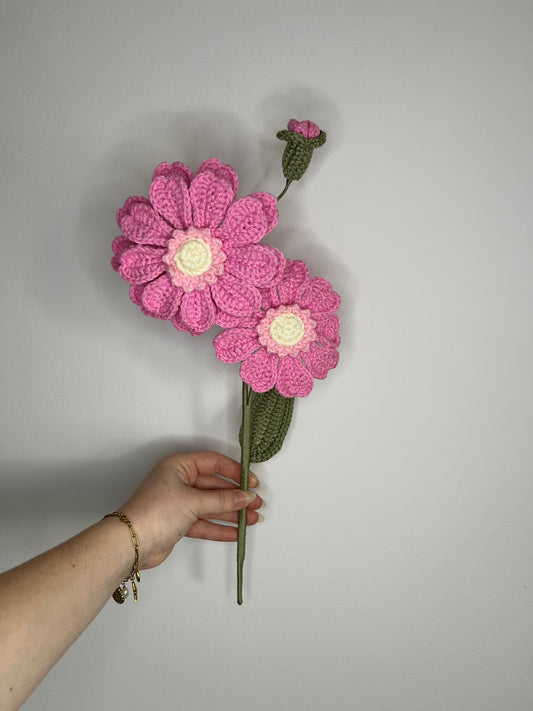 Gerbera rose