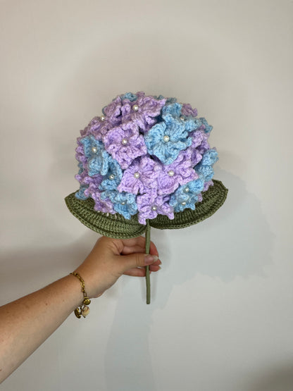 Hortensias bicolore violet et bleu