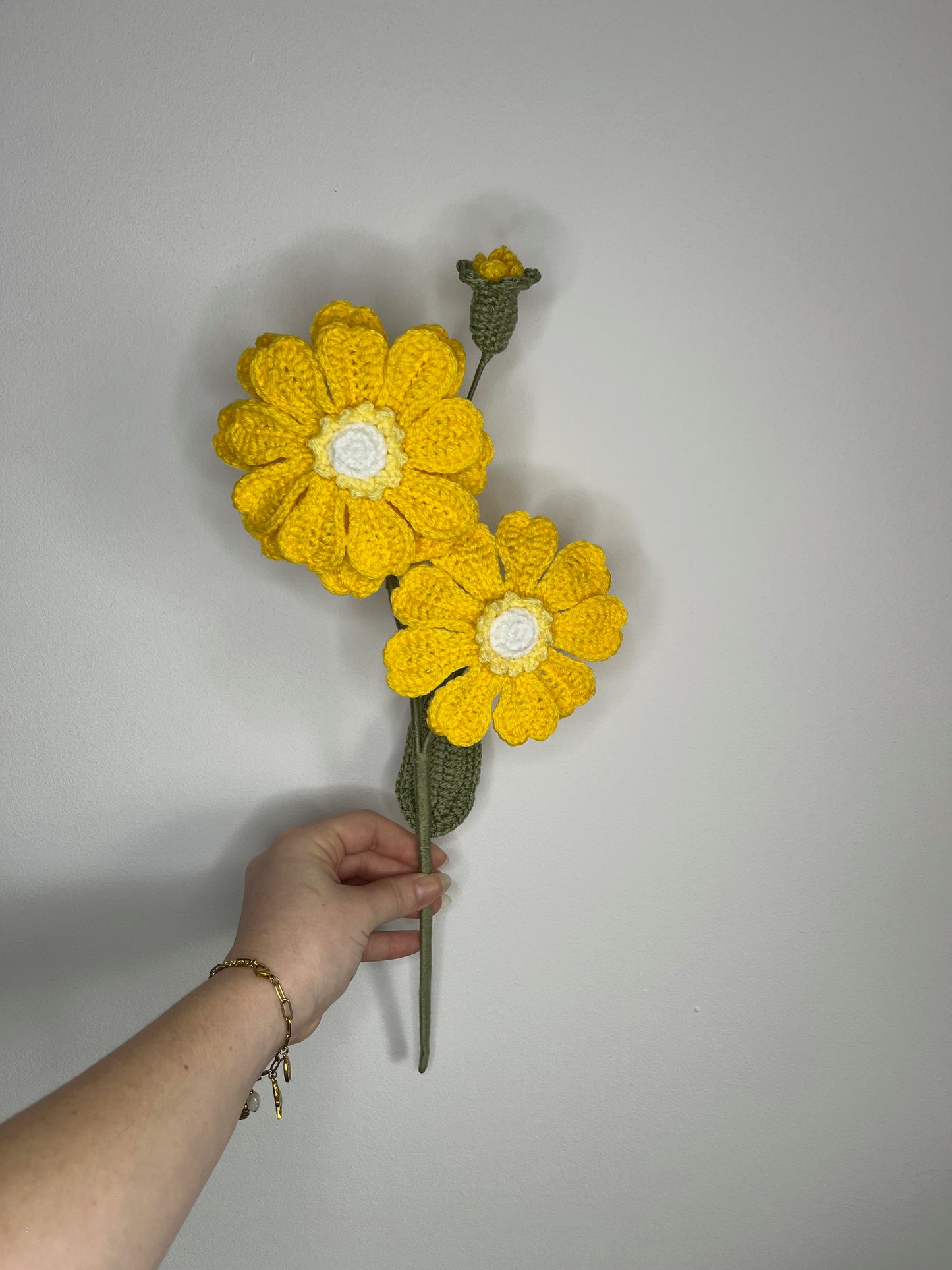 Gerbera rose